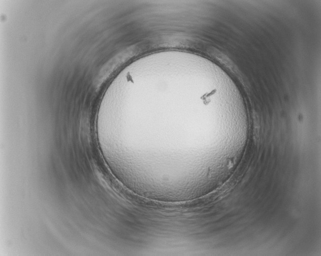 X0000052600482200507292127