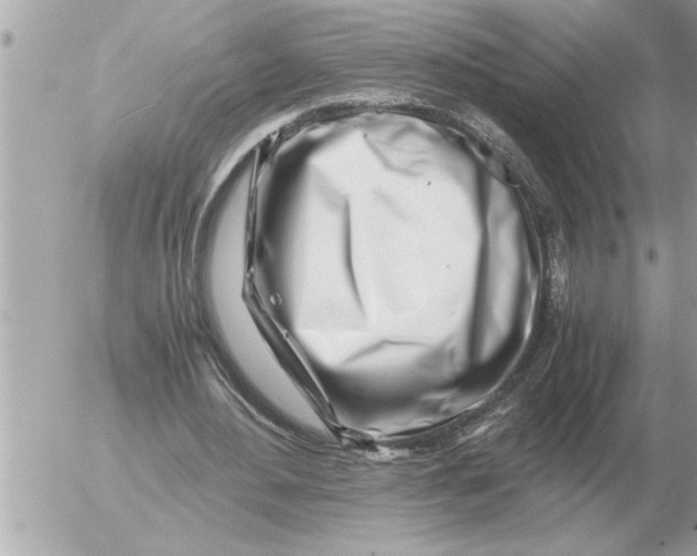 X0000052600484200507292127