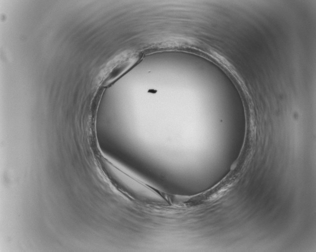 X0000052600485200507292127