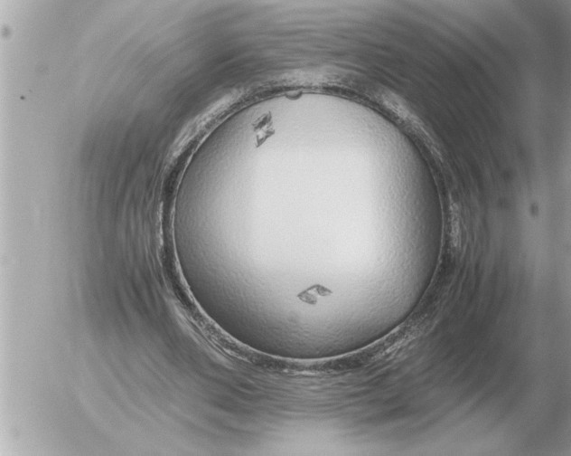 X0000052600486200507292127