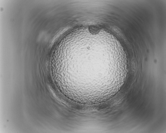 X0000052600491200507292126