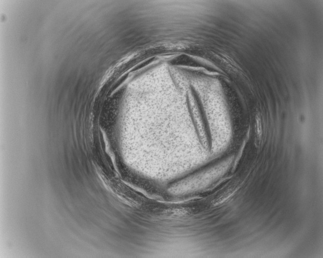 X0000052600492200507292126