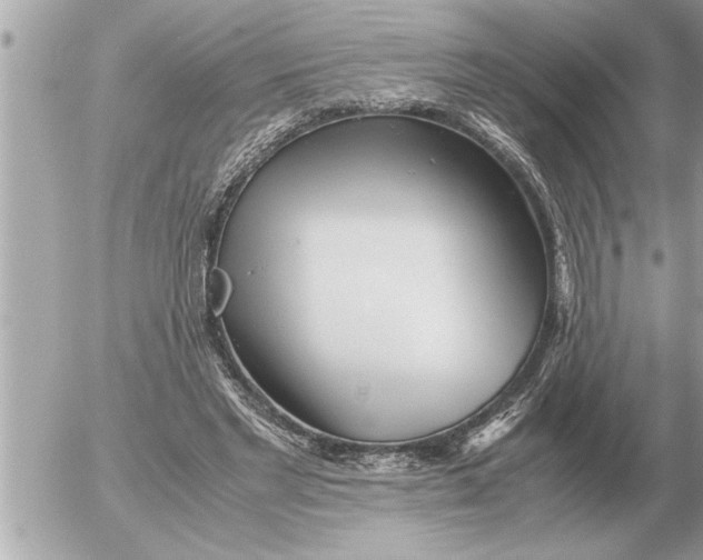 X0000052600493200507292126