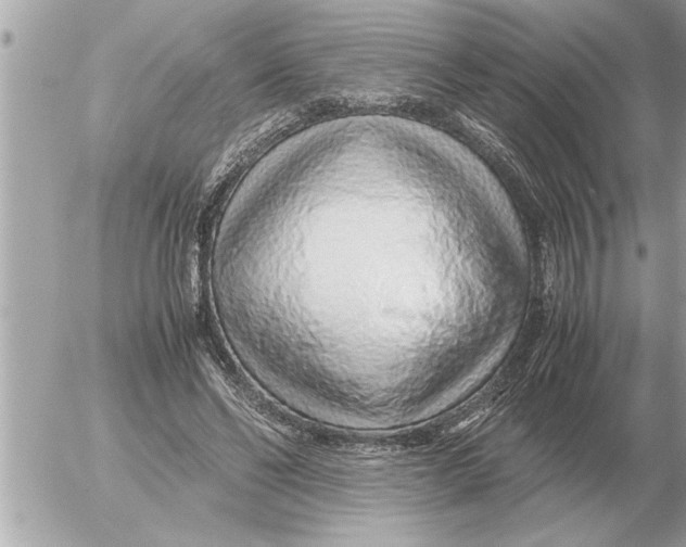 X0000052600494200507292126