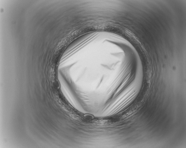 X0000052600497200507292126