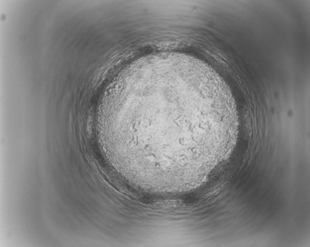 X0000052600499200507292126