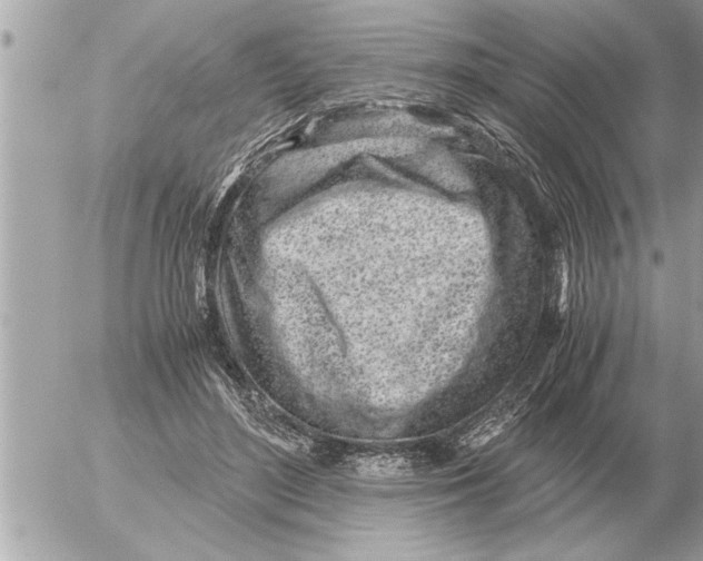 X0000052600500200507292126