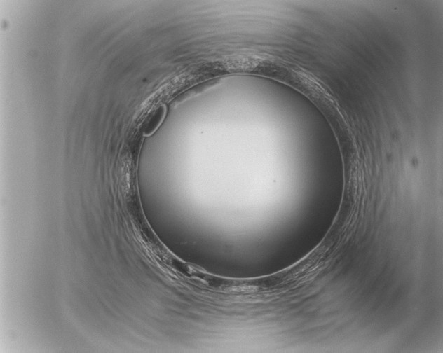 X0000052600501200507292126