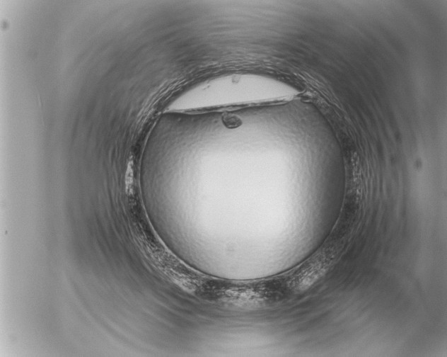 X0000052600502200507292126