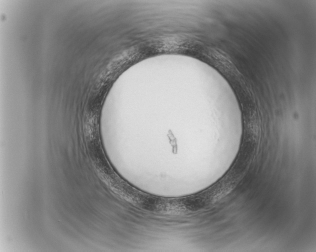 X0000052600503200507292126