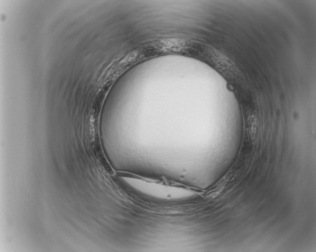 X0000052600506200507292126