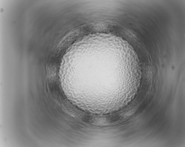 X0000052600507200507292126