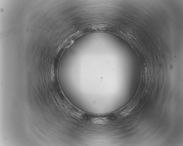 X0000052600508200507292126