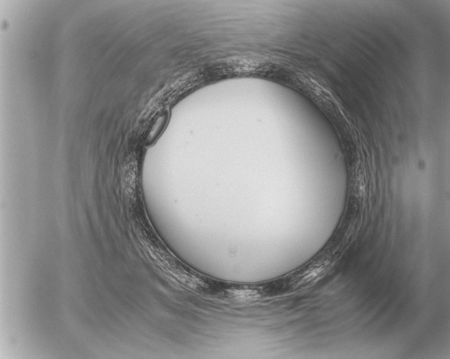 X0000052600509200507292126