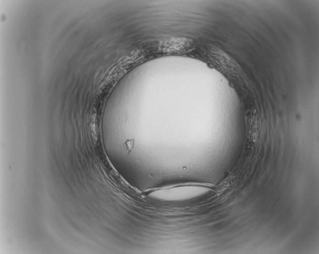 X0000052600510200507292126