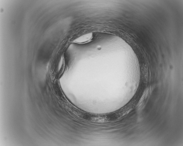 X0000052600511200507292126