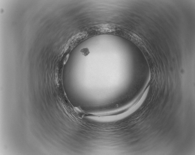 X0000052600512200507292126