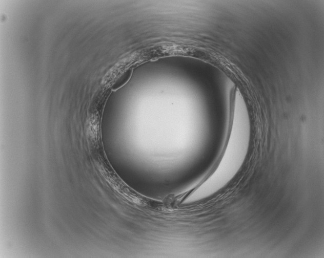 X0000052600513200507292126