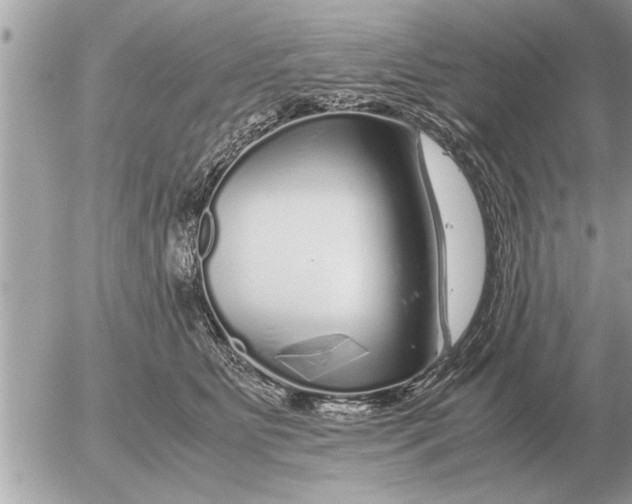 X0000052600515200507292126