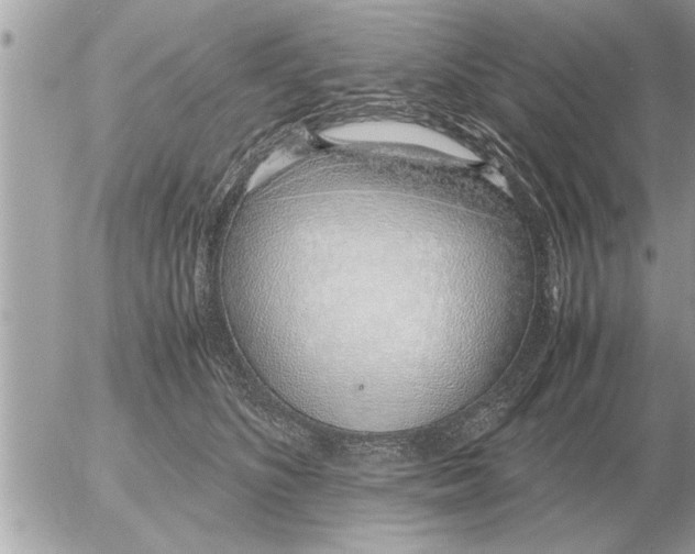 X0000052600516200507292126