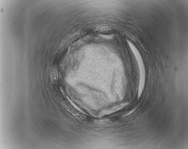 X0000052600517200507292126