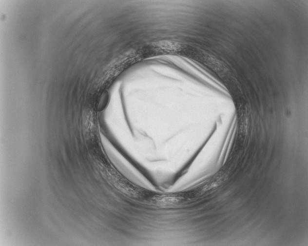 X0000052600518200507292126