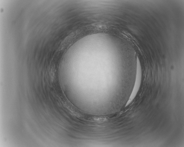 X0000052600520200507292126