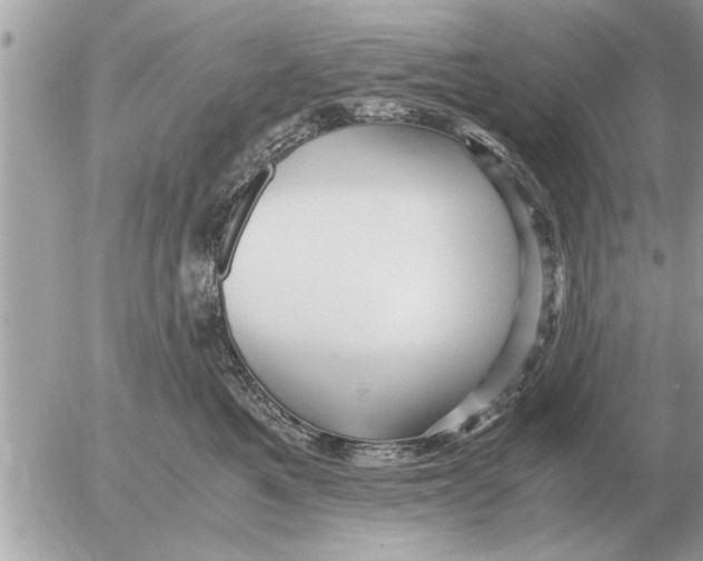 X0000052600521200507292126