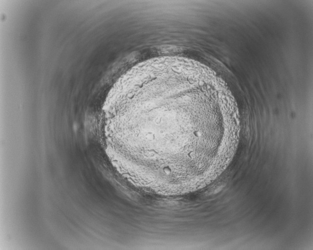 X0000052600523200507292126