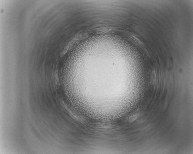 X0000052600524200507292126