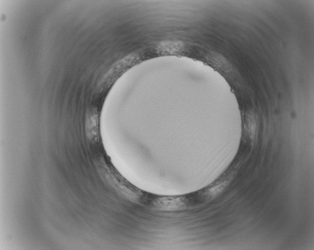 X0000052600526200507292126