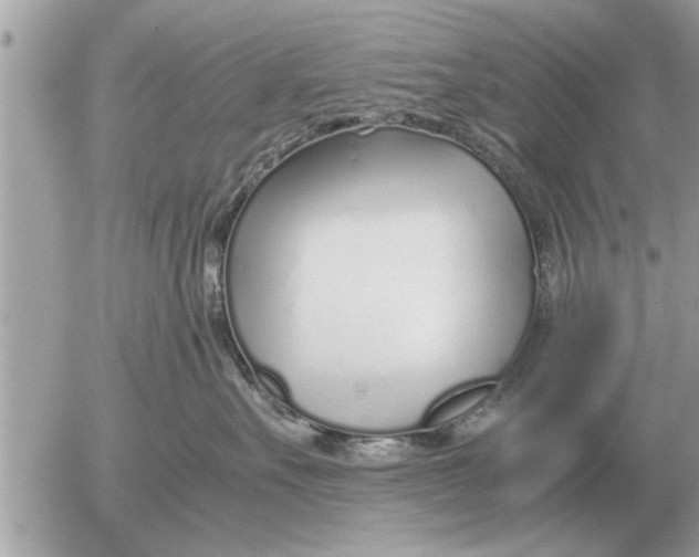 X0000052600527200507292126