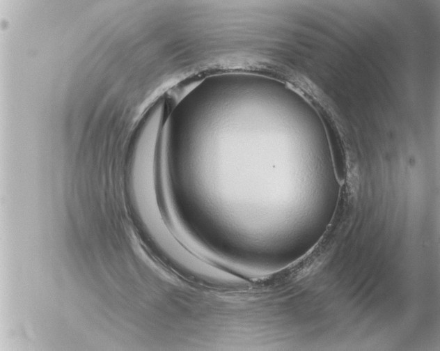 X0000052600530200507292125