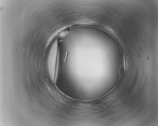 X0000052600531200507292125