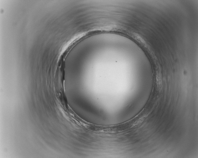 X0000052600532200507292125