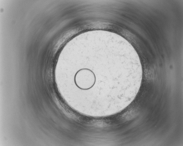 X0000052600534200507292125