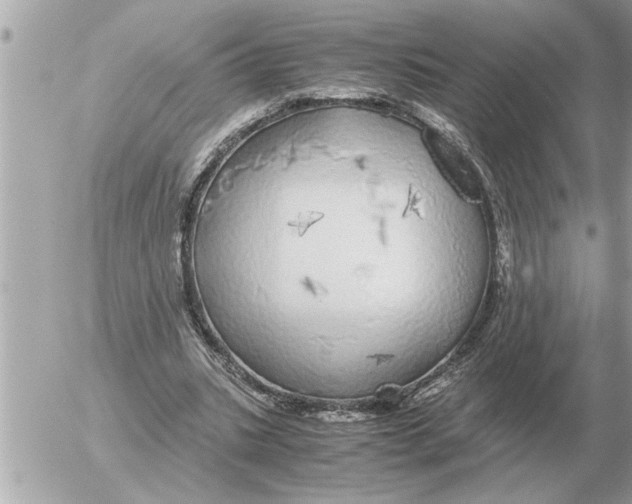 X0000052600535200507292125