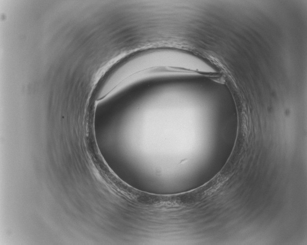 X0000052600536200507292125