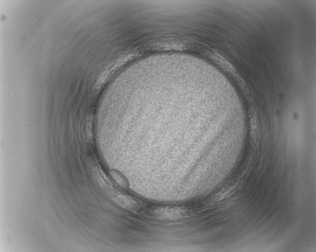 X0000052600537200507292125