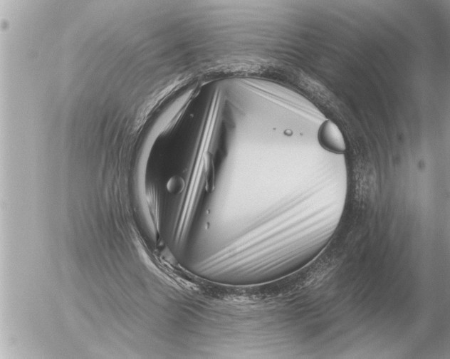 X0000052600538200507292125