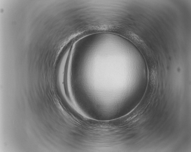 X0000052600540200507292125