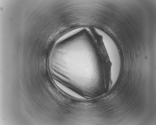 X0000052600542200507292125