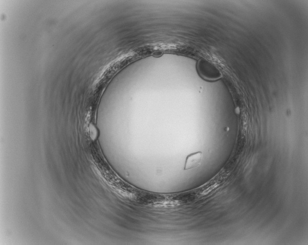 X0000052600543200507292125