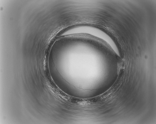 X0000052600544200507292125