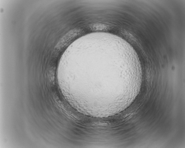 X0000052600545200507292125