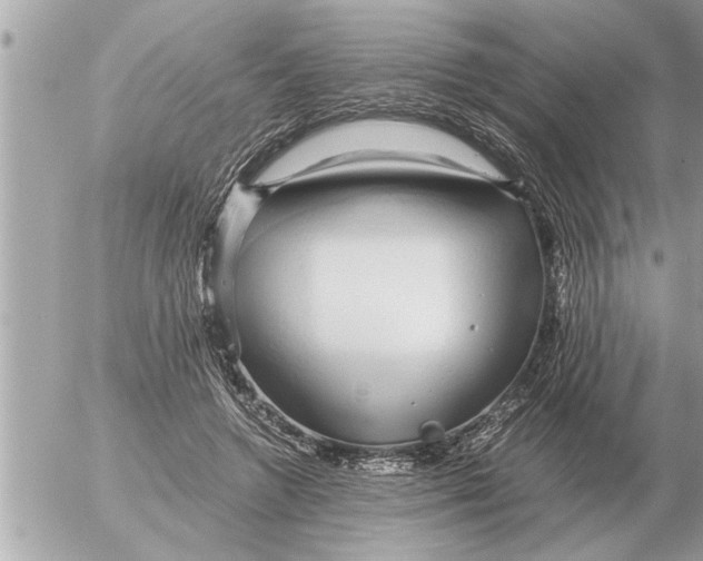 X0000052600546200507292125