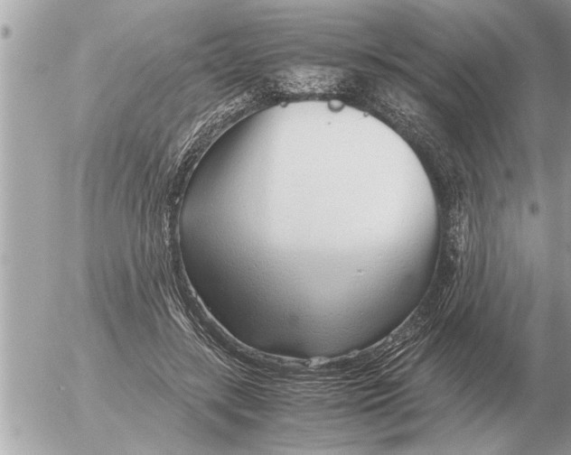 X0000052600547200507292125