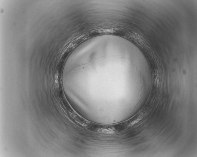 X0000052600548200507292125