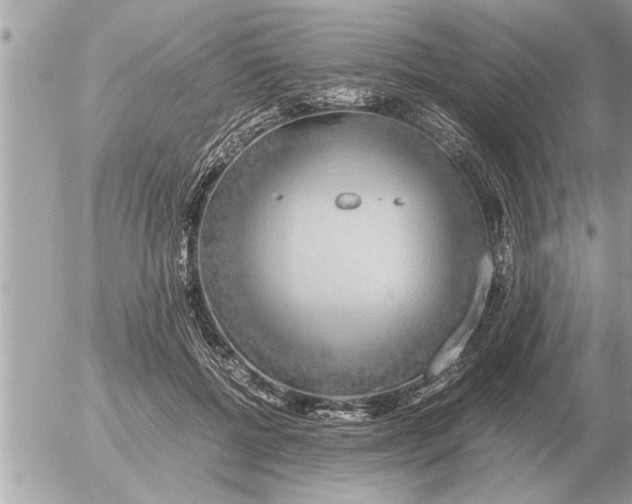 X0000052600552200507292125