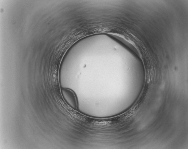 X0000052600553200507292125